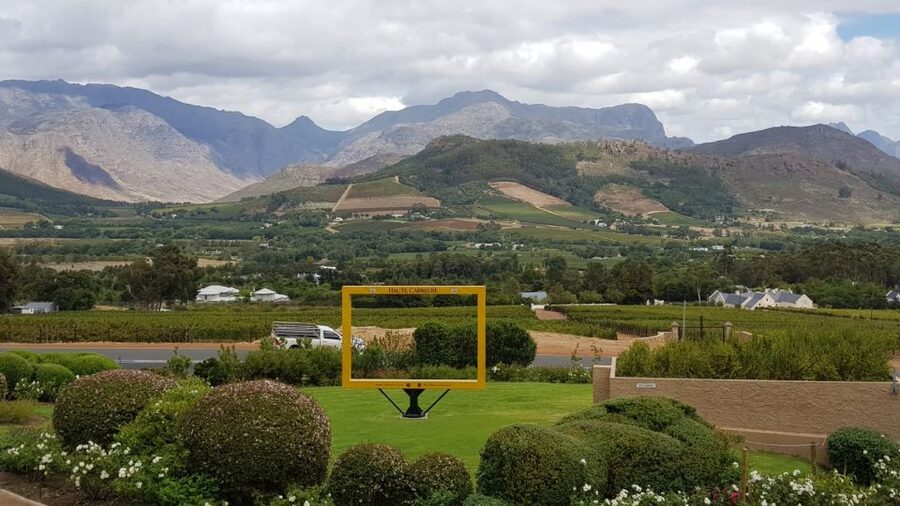 Franschhoek & Stellenbosch: Full-Day Wine Tour - The historic cellar and vineyard stops, where production becomes real