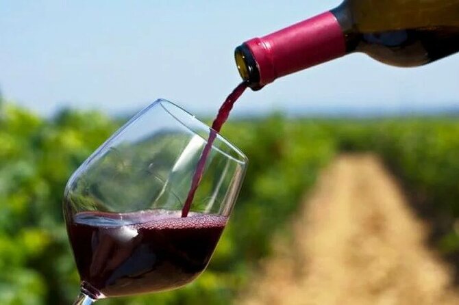Franschhoek Wine Tram Hop On Hop Off Tour - Price and Value: What Your $121.15 Covers, and What Adds Up