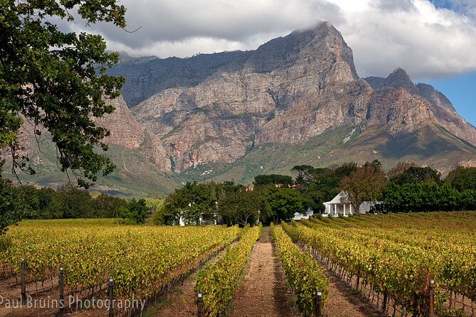Franschhoek Wine Tram Hop-On Hop-Off Tour from Cape Town. - Why the tram day feels easier than DIY driving from Cape Town