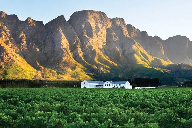 Franschhoek Wine Tram Hop-On Hop-Off Tour from Cape Town. - Franschhoek Terminal: how the hop-on hop-off loop really works