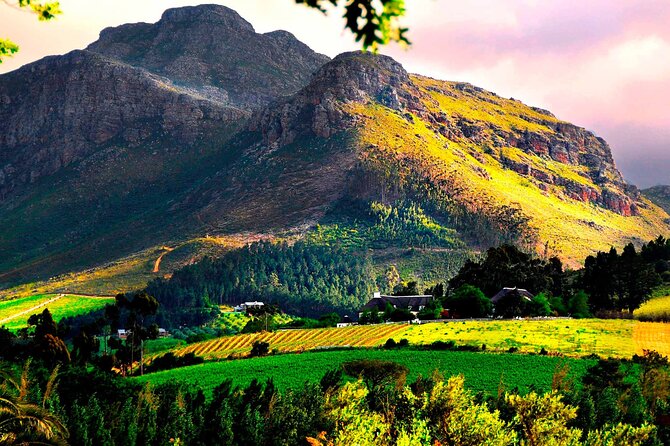 Franschhoek Wine Tram Hop-On Hop-Off Tour from Cape Town. - Duration and timing: how to pace an 8-hour wine day without burning out