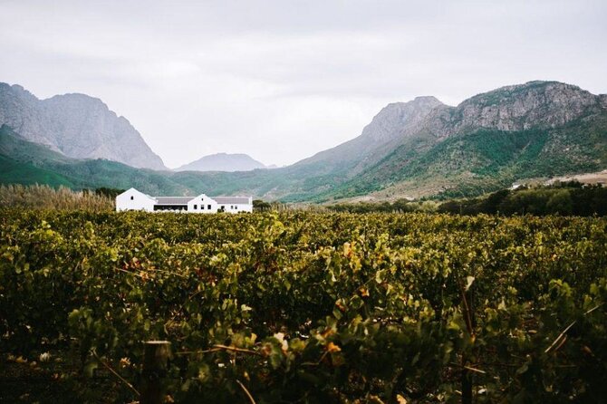 Franschhoek Wine Tram Hop-On Hop-Off Tour from Cape Town. - Cape Town pickup, and why start location matters for a long wine day