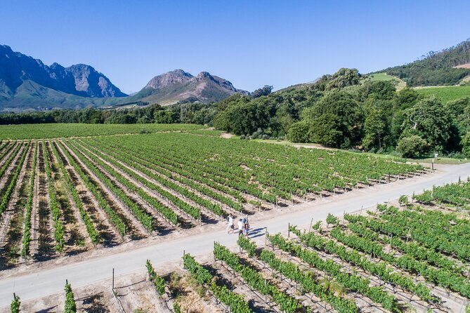 Franschhoek Wine Walk with Lunch - Enter Franschhoek on your own feet, starting at the old church
