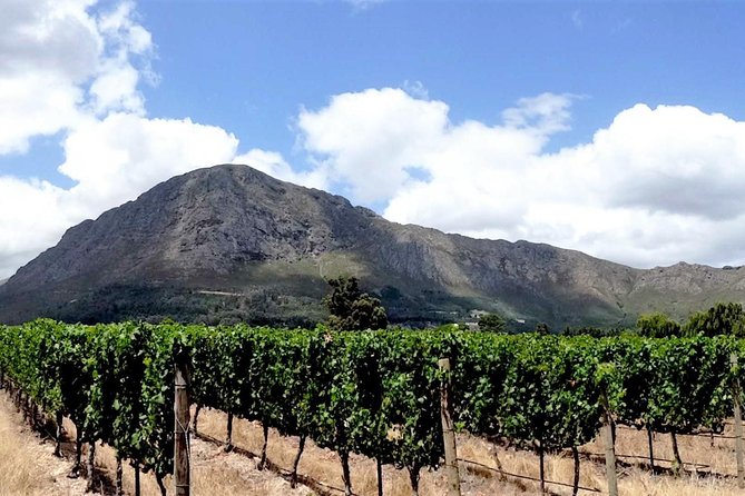 Franschhoek Winelands Luxury EBike Tour - Key highlights worth clocking before you book