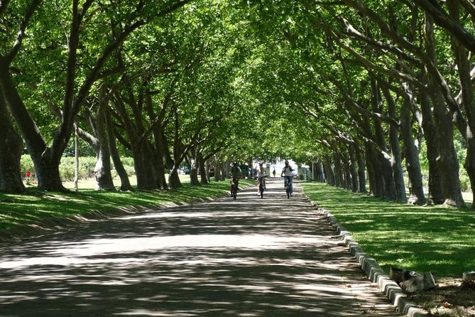 Franschhoek Winelands Luxury EBike Tour - Why an e-bike tour feels smarter in Franschhoek