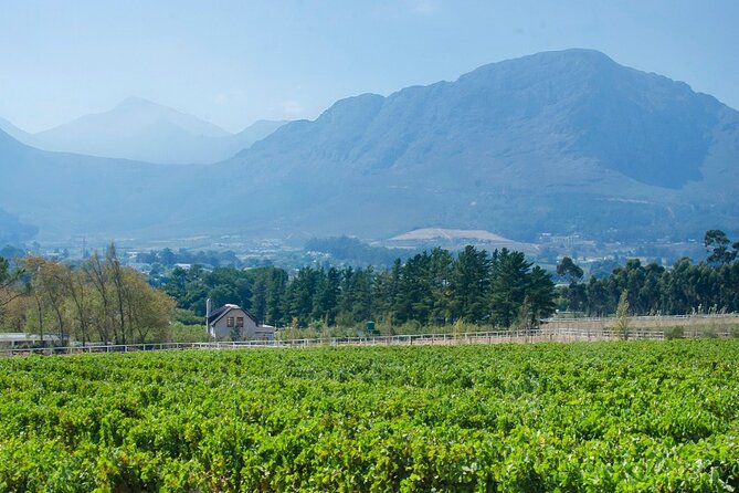 Franschhoek Winelands Luxury EBike Tour - Stop 2: La Bri Estate for quieter, classic surroundings