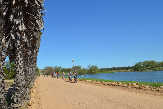 Franschhoek Winelands Luxury EBike Tour - Stop 1: Rickety Bridge Wine Estate and the “historic wine country” vibe