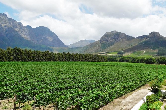 Franschhoek Winelands Meander © - Key things to know before you ride