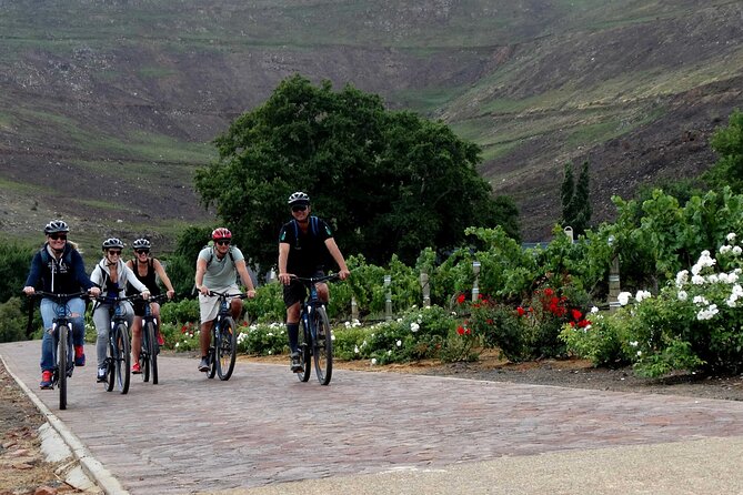 Franschhoek Winelands Meander © - Why this Franschhoek wine tour works so well by bike