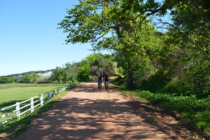 Franschhoek Winelands Meander © - Stop 1: Rickety Bridge Wine Estate and the mountain-meets-vineyard start