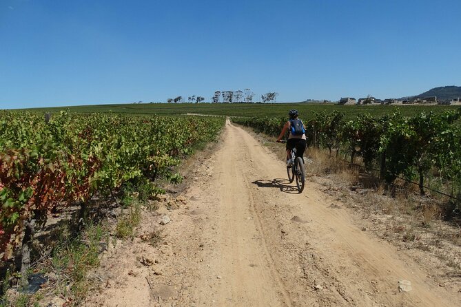 Franschhoek Winelands Meander © - What’s included in tasting, pairing, and snacks