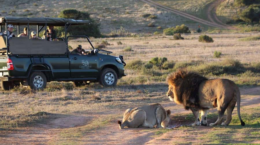 From Cape Town: 2-Day Safari at Garden Route Game Lodge - Key highlights at a glance