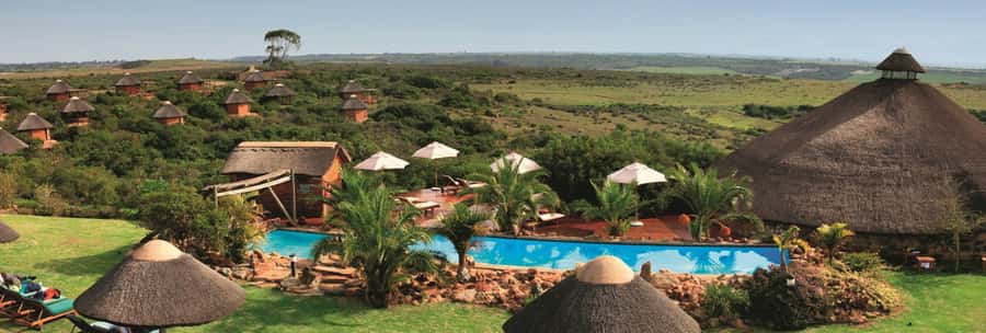 From Cape Town: 2-Day Safari at Garden Route Game Lodge - Why This Cape Town Safari Hits Different at Cape Agulhas