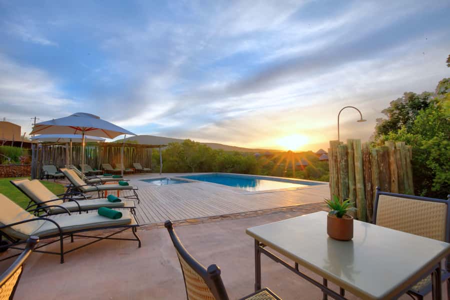From Cape Town: 2-Day Safari at Garden Route Game Lodge - The Long Drive Factor: What Makes It Worth It