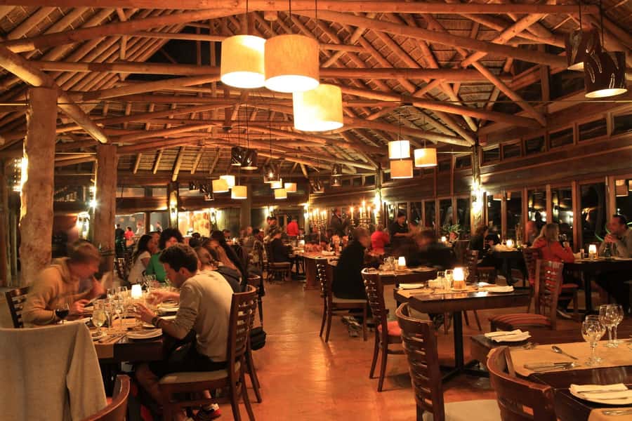 From Cape Town: 2-Day Safari at Garden Route Game Lodge - Who Should Book This Two-Day Safari (And Who Should Skip It)