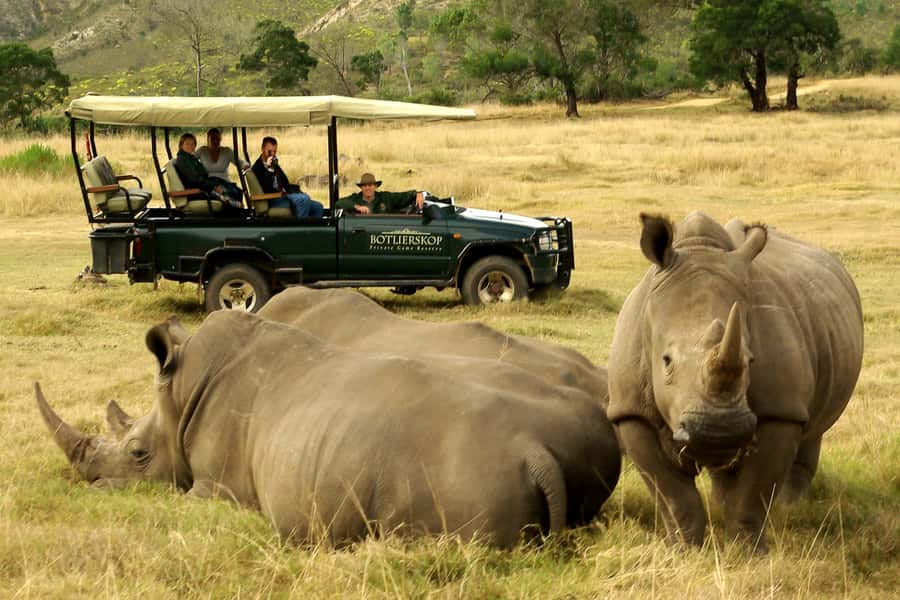 From Cape Town: 3-Day Garden Route Highlights and 4x4 Safari - Key highlights to know before you go