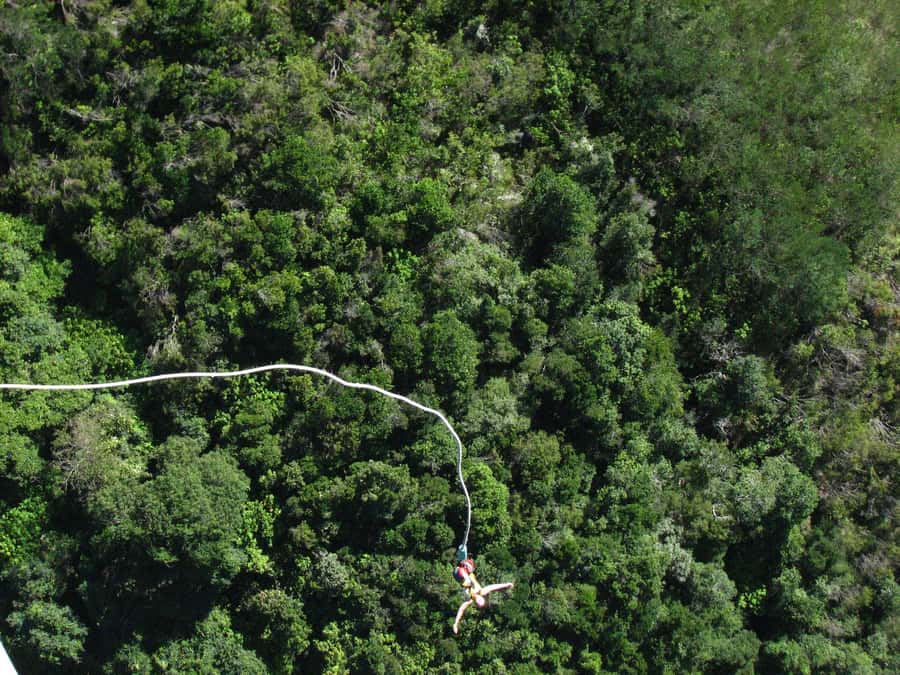 From Cape Town: 3-Day Garden Route Highlights and 4x4 Safari - Guides and group energy: why this tour can feel smooth