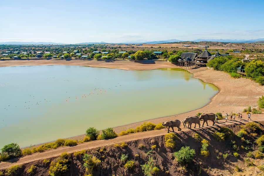 From Cape Town: 3-Day Garden Route Highlights and 4x4 Safari - Route 62 mornings to Oudtshoorn: why this trip starts strong