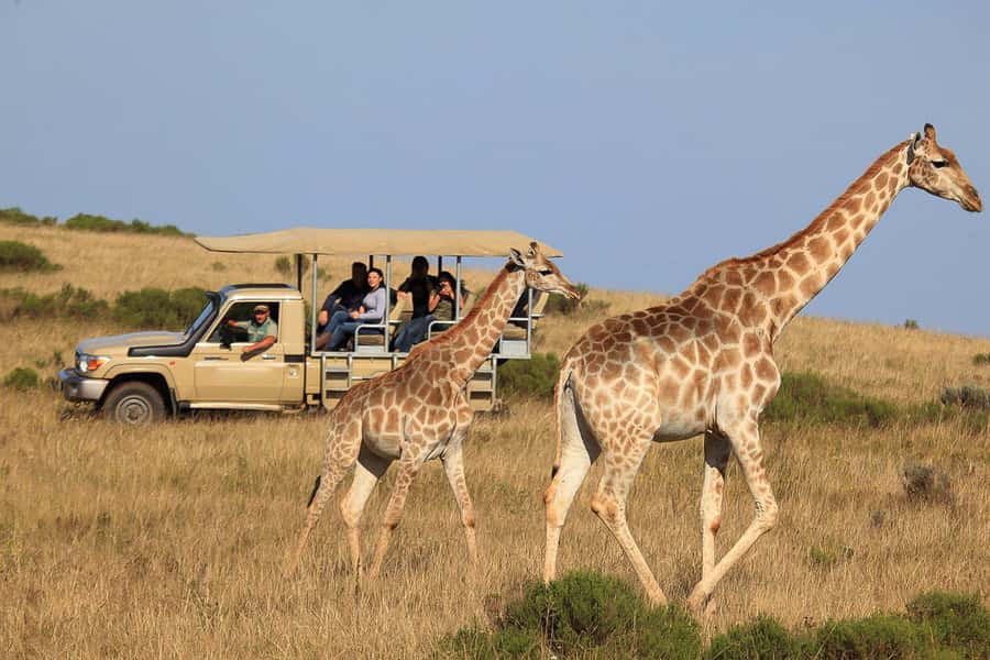 From Cape Town: 3-Day Garden Route Highlights and 4x4 Safari - Cango Caves: two styles of underground fun