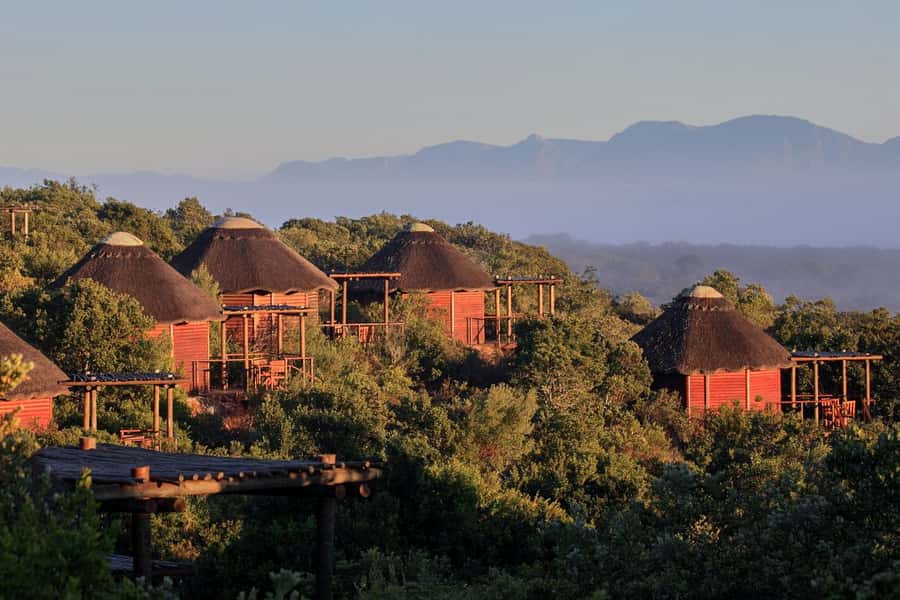 From Cape Town: 3-Day Garden Route Safari and Coastal Tour - Cape Agulhas: the southern-tip moment that resets your brain