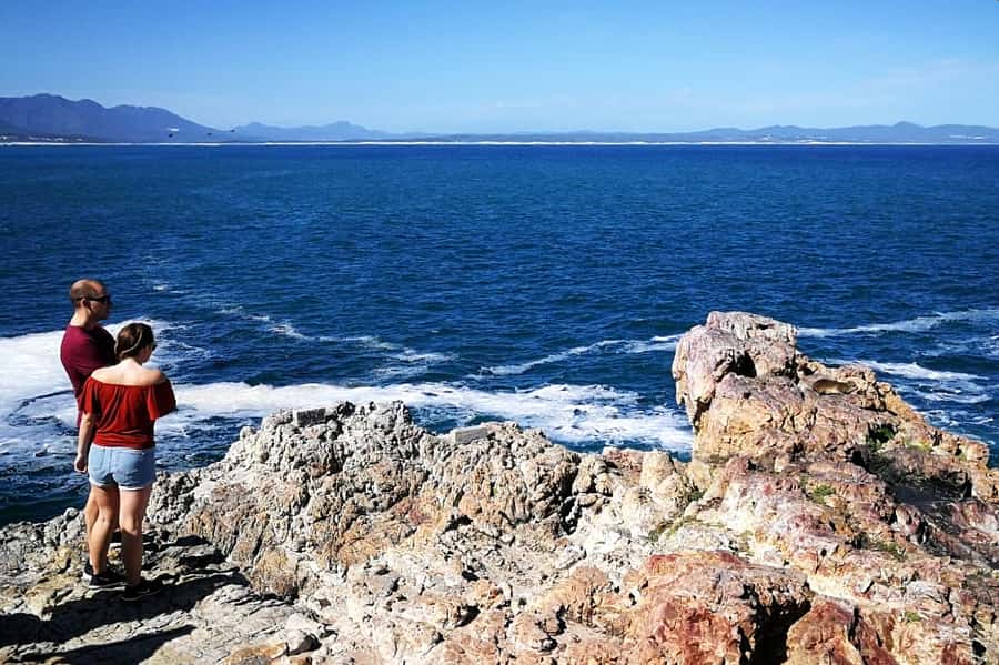 From Cape Town: 3-Day Garden Route Safari and Coastal Tour - Price and value: what $720 buys you, and what it does not