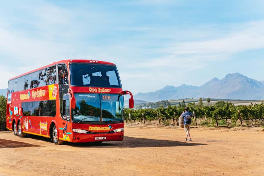 From Cape Town: 3 Regions Wine Tour with 3 Estates, 15 Wines - Cape Town Pickup to the Winelands, Without the Headache