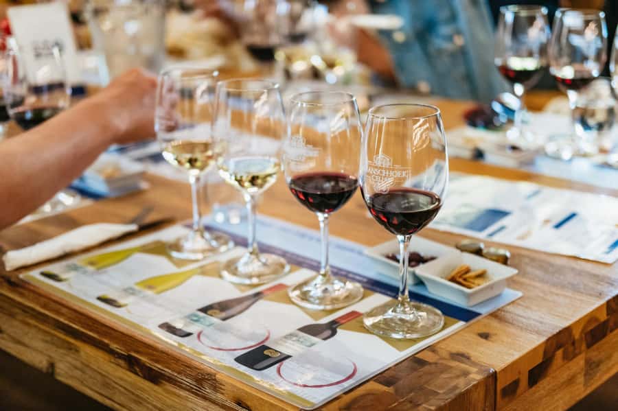 From Cape Town: 3 Regions Wine Tour with 3 Estates, 15 Wines - Stellenbosch First, With a Town Walk and a Cellar Tour
