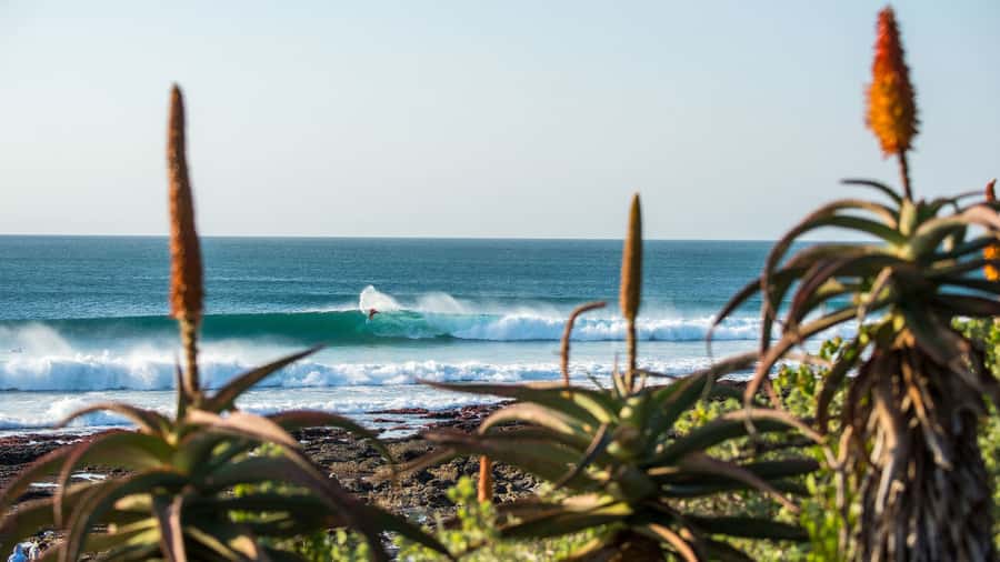 From Cape Town: 5-Day Best of Garden Route and Addo Safari - Day 2: Cango Caves, then food at a padstal and onward to Addo country