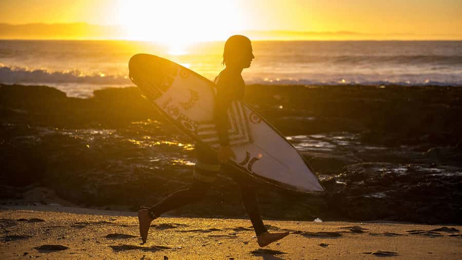 From Cape Town: 5-Day Best of Garden Route and Addo Safari - Jeffreys Bay break: beach time plus optional thrills