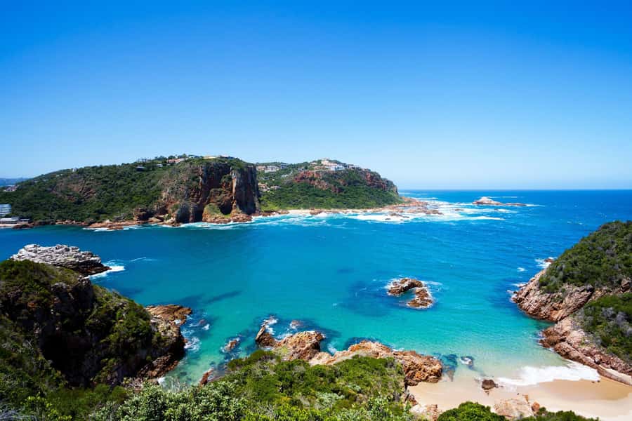 From Cape Town: 5-Day Best of Garden Route and Addo Safari - Tsitsikamma National Park: suspension bridges, plus bungy and zipline choices