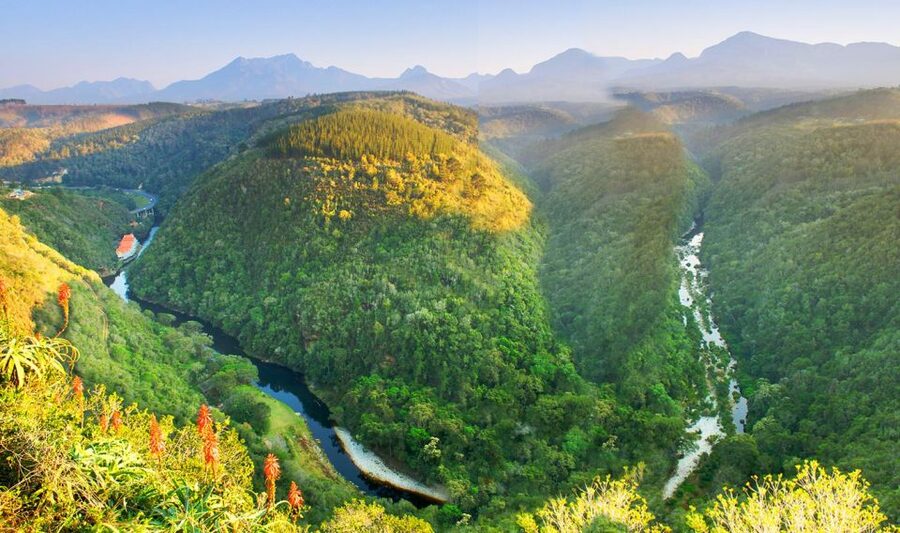 From Cape Town: 5-Day Best of Garden Route and Addo Safari - Day 5: Botlierskop 4x4 safari for better photos and more chances