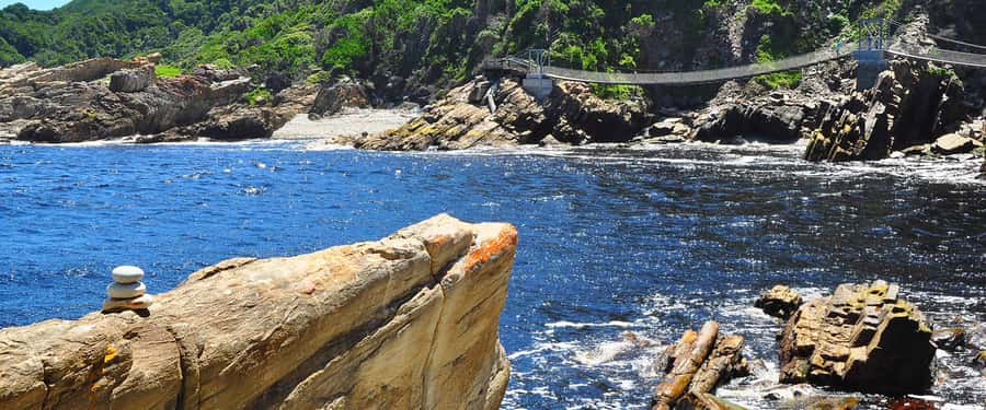 From Cape Town: 5-Day Best of Garden Route and Addo Safari - The real hero is the guide, and the reviews back that up