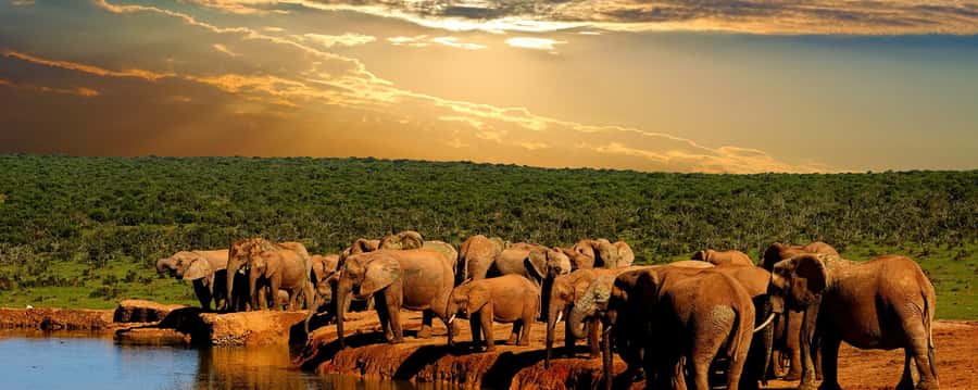 From Cape Town: 5-Day Garden Route & Addo Elephant Park Tour - Key highlights worth your attention
