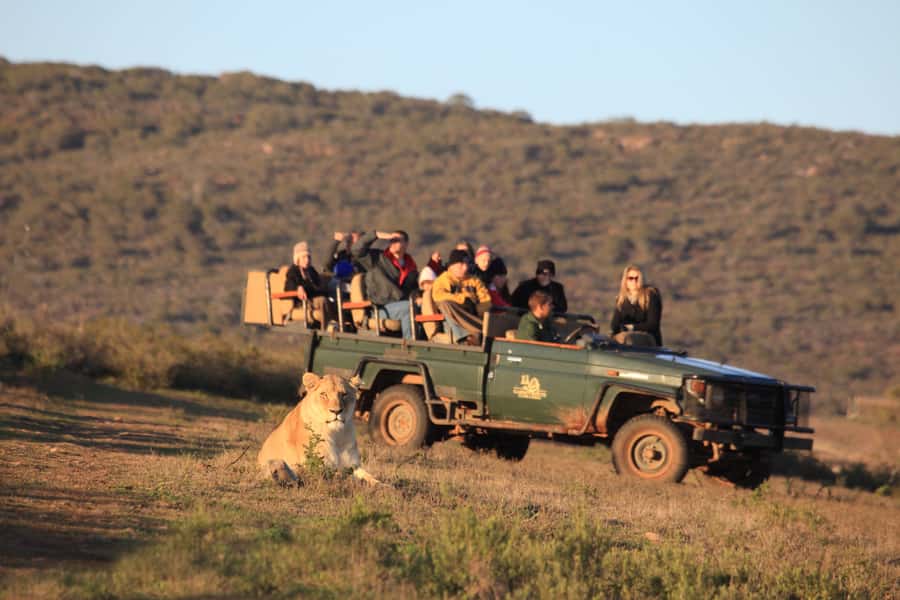 From Cape Town: 5-Day Garden Route & Addo Elephant Park Tour - Day 2: Coast viewpoints, Knysna, then Storms River village