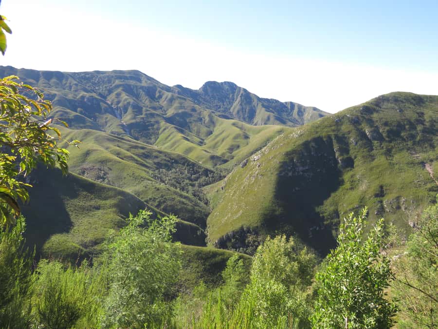 From Cape Town: 5-Day Garden Route & Addo Elephant Park Tour - Day 4: Bloukrans bungee choice, then late safari at Garden Route Game Lodge