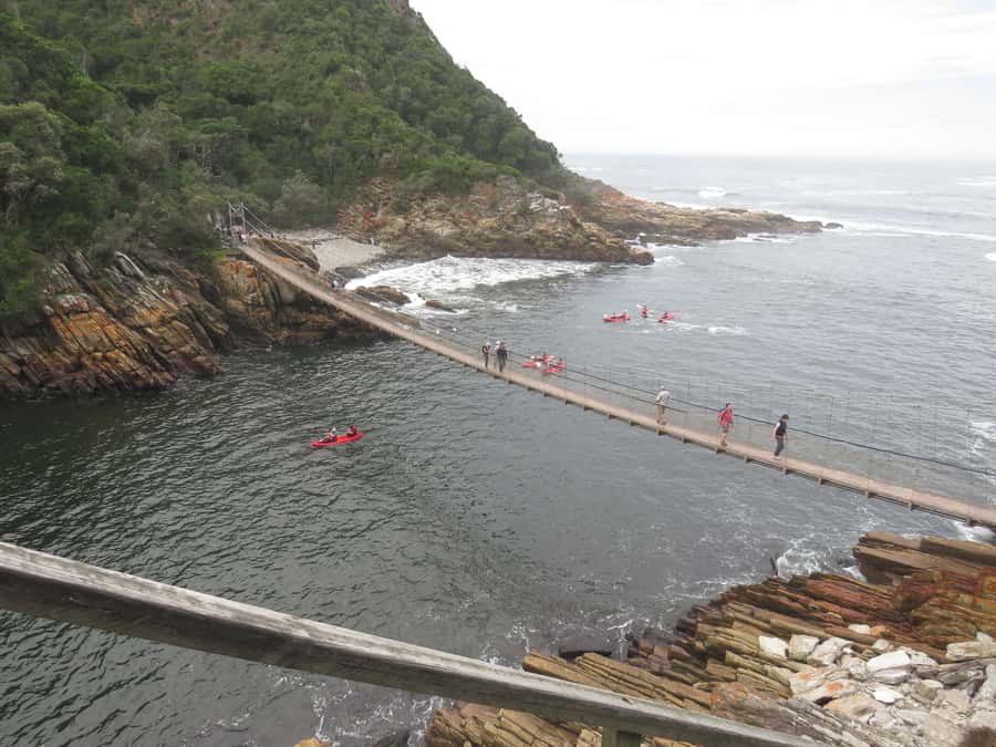 From Cape Town: 5-Day Garden Route & Addo Elephant Park Tour - Day 5: Early safari, then Hermanus whale season timing