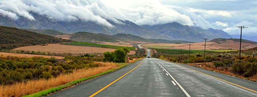 From Cape Town: 7-Day Garden Route, Addo and Winelands Combo - Quick hits before you go