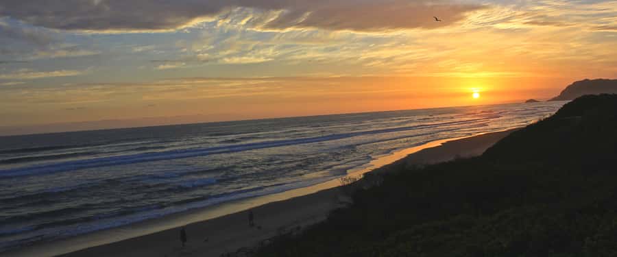 From Cape Town: 7-Day Garden Route, Addo and Winelands Combo - Cape Winelands and Cape Point: wine tastings, Chapmans Peak, and penguins