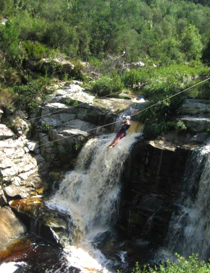 From Cape Town: 7-Day Garden Route, Addo and Winelands Combo - Price and logistics: is $1,240 really good value?
