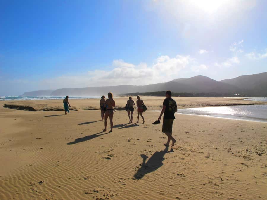 From Cape Town: 7-Day Garden Route, Addo and Winelands Combo - Practical tips: what to pack and how to survive 3 to 6 hour drives