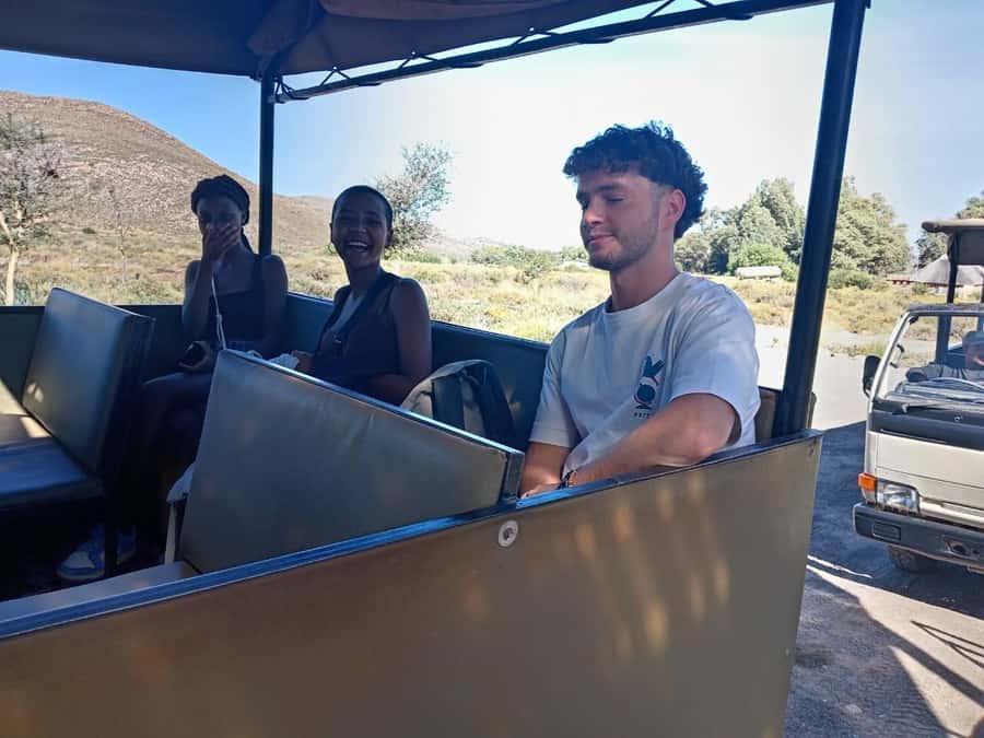 From Cape Town: Aquila Game Reserve Sunset Game Drive - Should you book this Cape Town to Aquila sunset game drive?