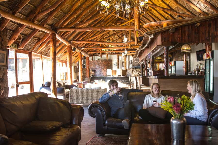 From Cape Town: Big Five Game Reserve with Lunch - What the reserve day feels like in real life, from ride to photos