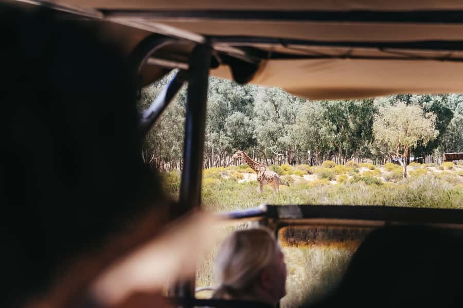 From Cape Town: Big Five Game Reserve with Lunch - What to bring, so the day is comfortable and photo-friendly