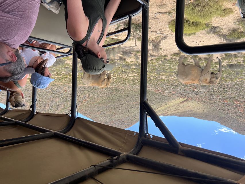From Cape Town: Big Five Safari Experience with Lunch - When the Day Feels Like a Wildlife Park Versus Wild Country