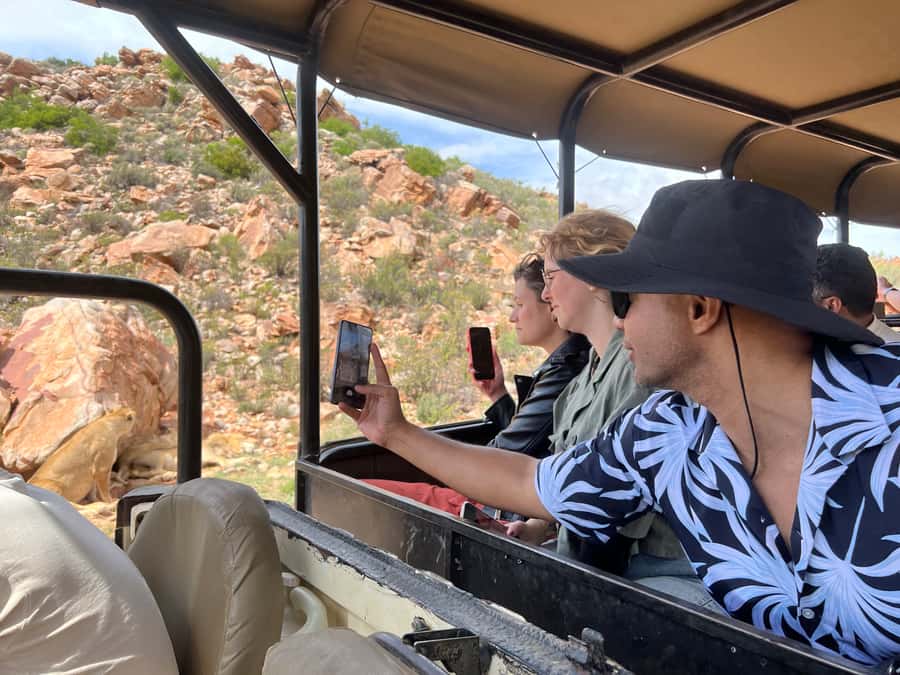 From Cape Town: Big Five Safari Experience with Lunch - Price at $137, and What You Must Confirm