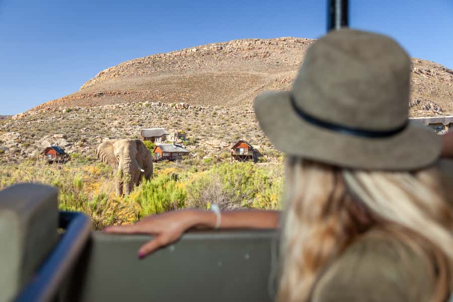 From Cape Town: Big Five Sunset Safari incl. Transportation - Key Things That Make This Tour Worth Your Attention
