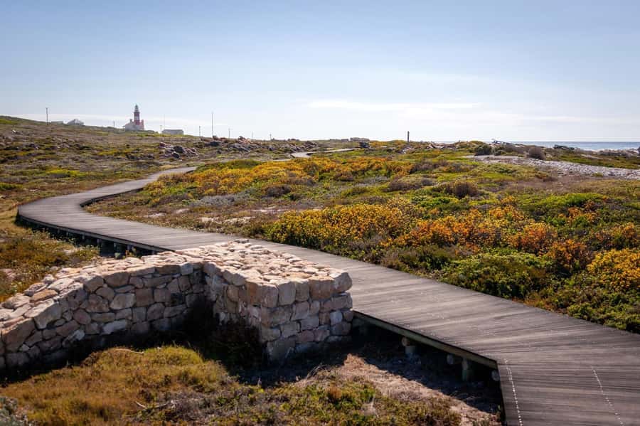 From Cape Town: Cape Agulhas, Penguins, Wine Tasting Tour - Agulhas Lighthouse and the old-school South Africa coast