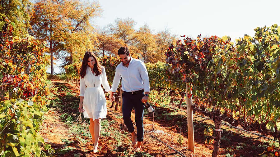 From Cape Town: Cape Winelands Full-Day Private Tour - Pickup from Cape Town, plus small comfort details that matter