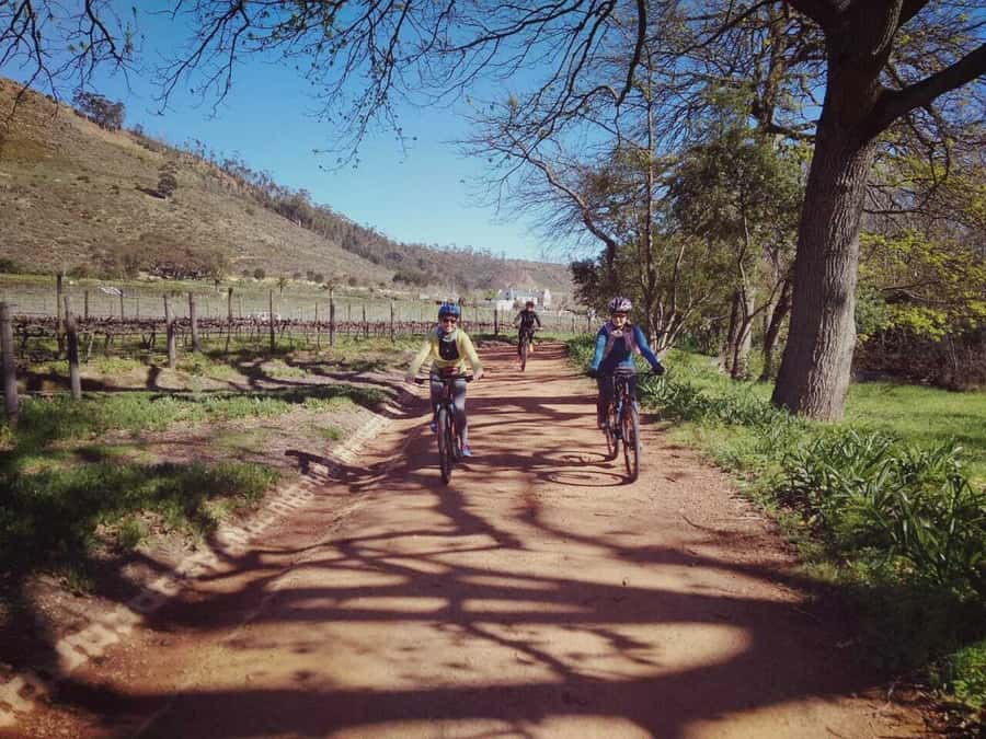 From Cape Town: Franschhoek Vineyards Bike Tour with Lunch - Entering Franschhoek by bike, starting at the Dutch Reformed Church