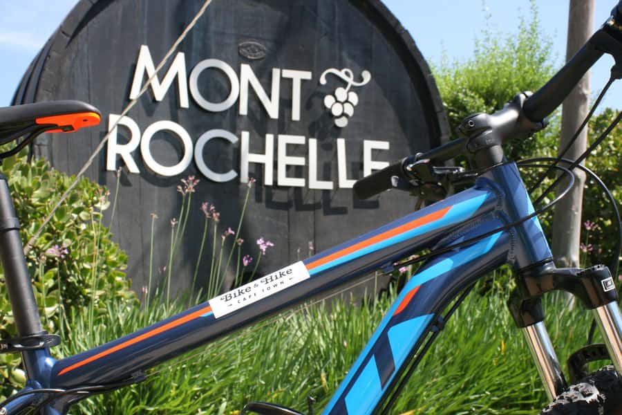 From Cape Town: Franschhoek Vineyards Bike Tour with Lunch - Winery stops and tastings, how to make the most of up to three pours